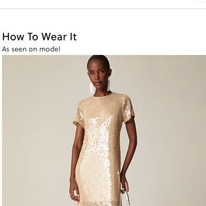 Brand new with the JCrew sequin T-shirt slip dress.